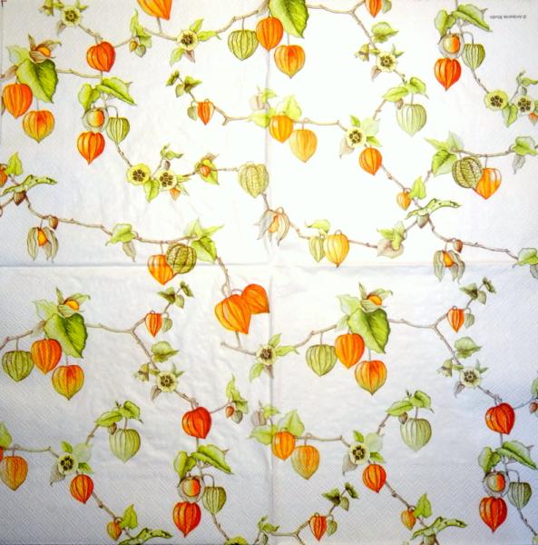 255 Autumn - 3-ply - Ambiente
